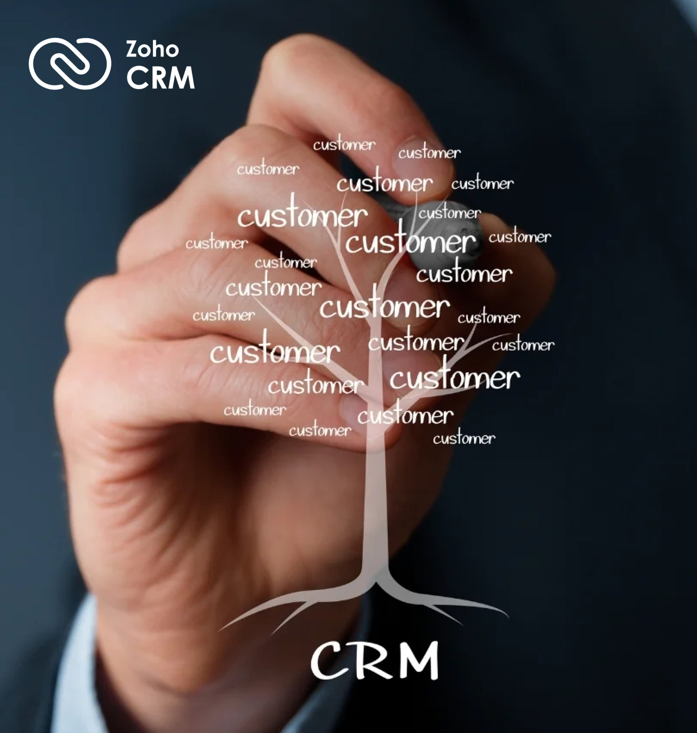 Zoho Crm 800