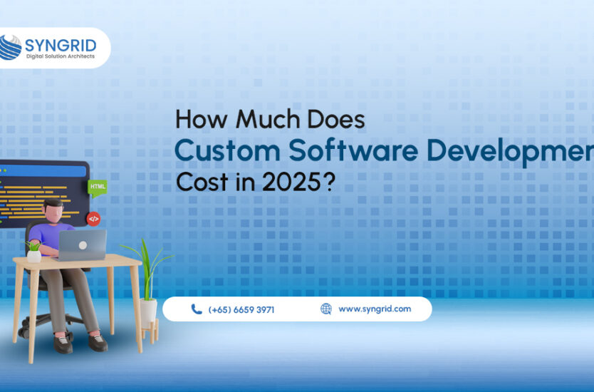 How Much Does Custom Software Development Cost in 2025?