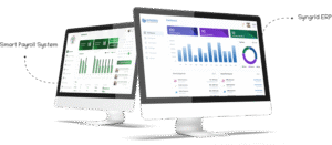 Products - Syngrid